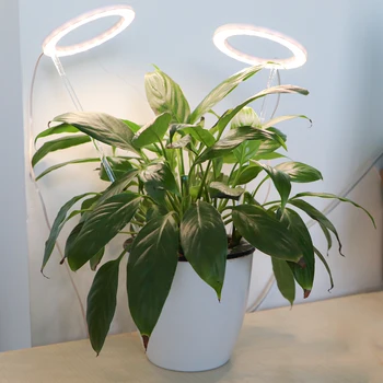 Светодиодная лампа для выращивания растений в помещении с полным спектром Регулируемой USB подсветкой для растений с таймером Для выращивания сочных овощей и цветов в теплице